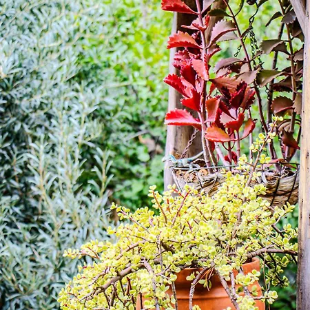 Сasa de vacaciones Vv La Morada Nature Retreat, Forest, Bbq & Outdoor Dining