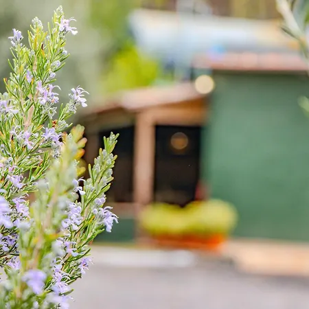 Σπίτι διακοπών La Morada *