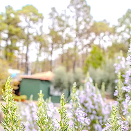 Сasa de vacaciones Vv La Morada Nature Retreat, Forest, Bbq & Outdoor Dining