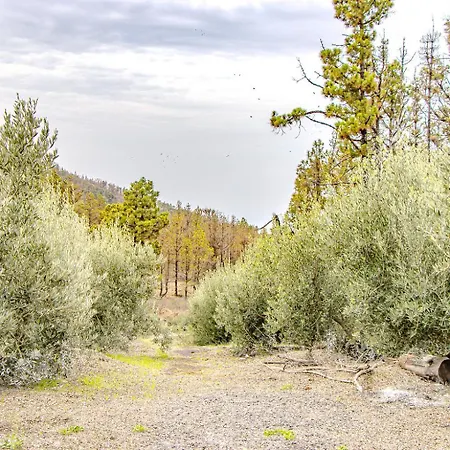 Vv La Morada Nature Retreat, Forest, Bbq & Outdoor Dining * El Paso