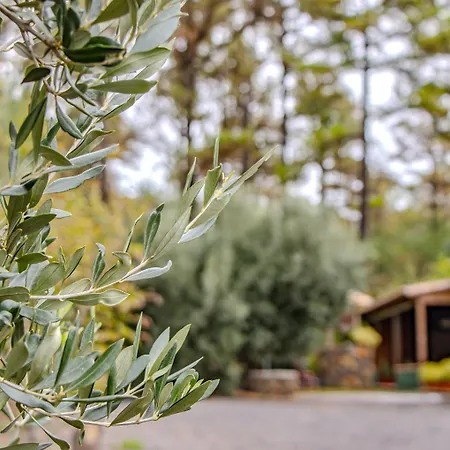Сasa de vacaciones Vv La Morada Nature Retreat, Forest, Bbq & Outdoor Dining *