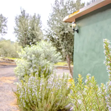 Сasa de vacaciones Vv La Morada Nature Retreat, Forest, Bbq & Outdoor Dining El Paso