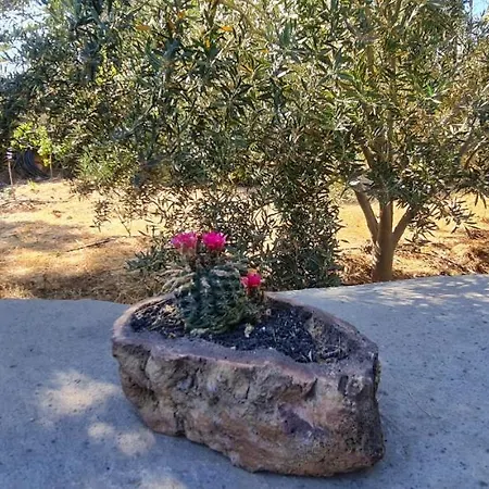La Morada * El Paso
