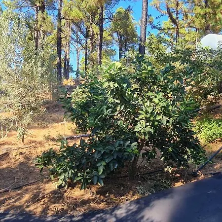 Holiday home Vv La Morada Nature Retreat, Forest, Bbq & Outdoor Dining