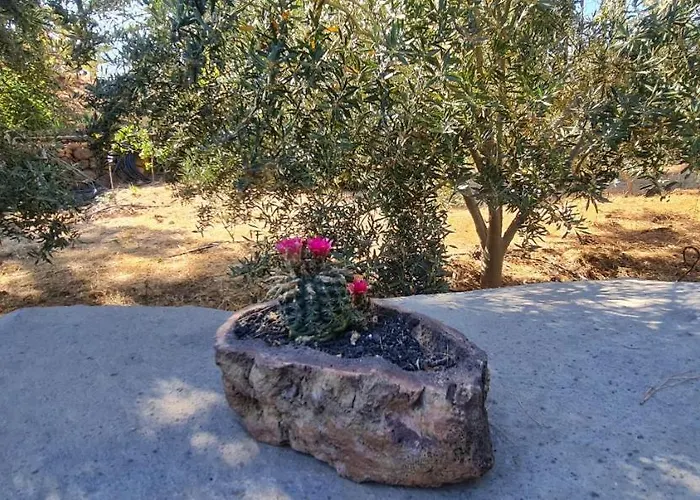 La Morada * El Paso
