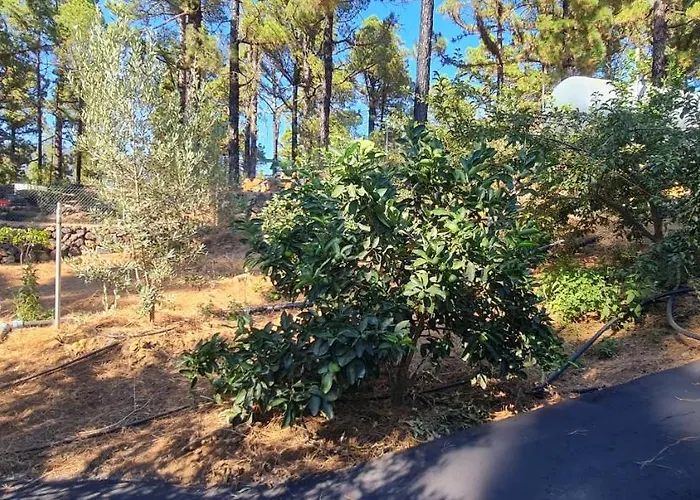 Semesterbostad La Morada
